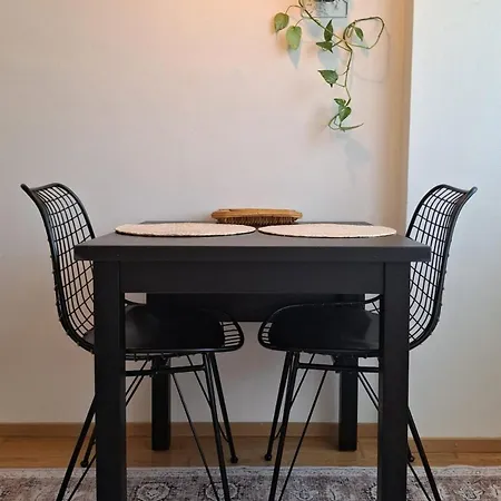 Huoneisto Spacious One-bedroom In The Center, Close To The Train Station Oulu